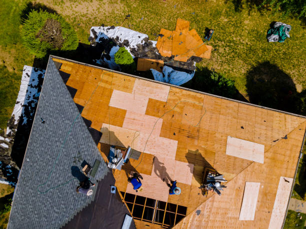 Residential Roof Replacement in Grosse Pointe Park, MI