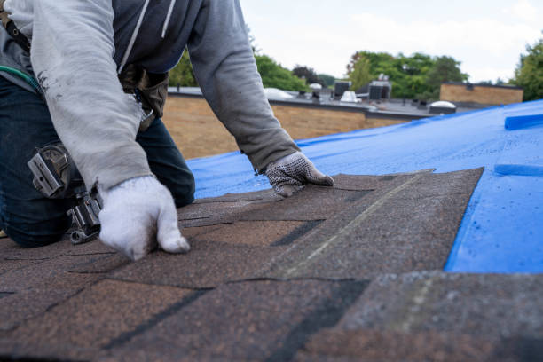 Best Shingle Roofing Installation  in Grosse Pointe Park, MI