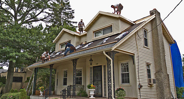 Best New Roof Installation  in Grosse Pointe Park, MI