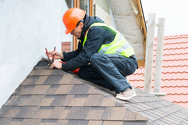 Best Roof Repair Services  in Grosse Pointe Park, MI