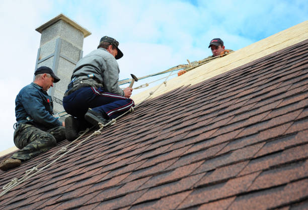Best Metal Roofing Contractor  in Grosse Pointe Park, MI