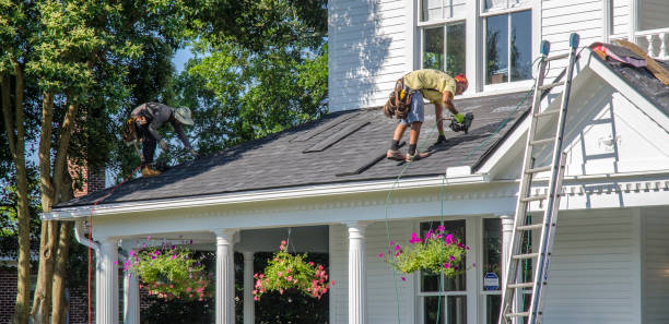 Best Storm Damage Roof Repair  in Grosse Pointe Park, MI