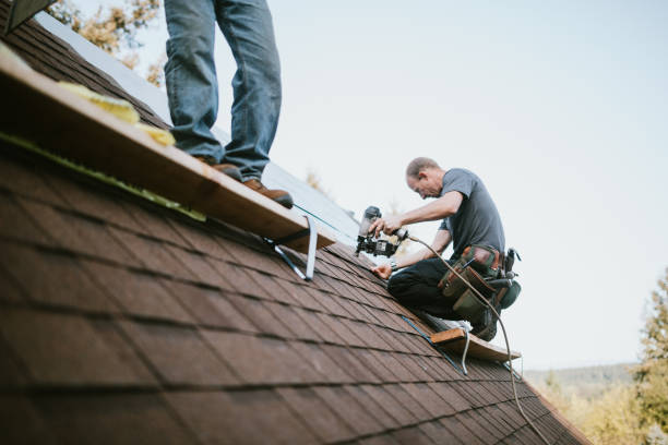 Trusted Grosse Pointe Park, MI Roofing Contractor Experts